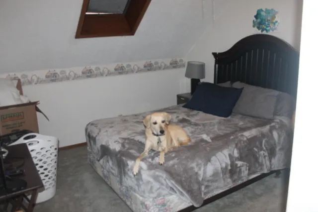 $275,000 | 111 Oak Turnagain Court, Glenwood, MN 56334