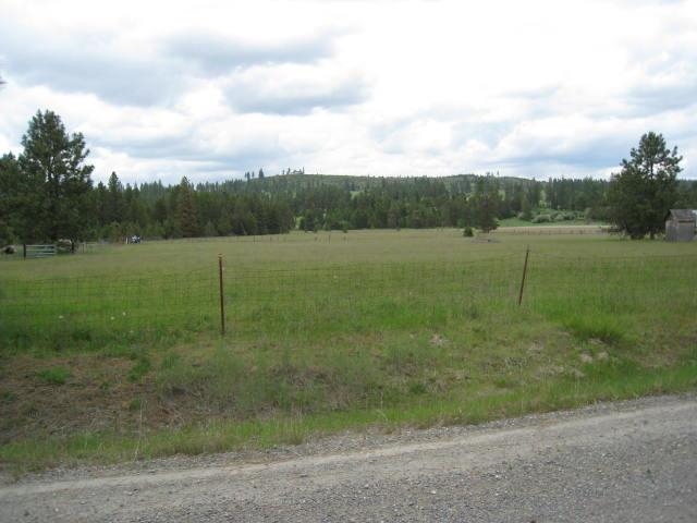 7921 East Hamilton Road Chattaroy, WA 99003 - Photo 4 of 15