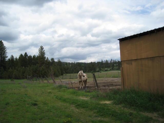 7921 East Hamilton Road Chattaroy, WA 99003 - Photo 9 of 15