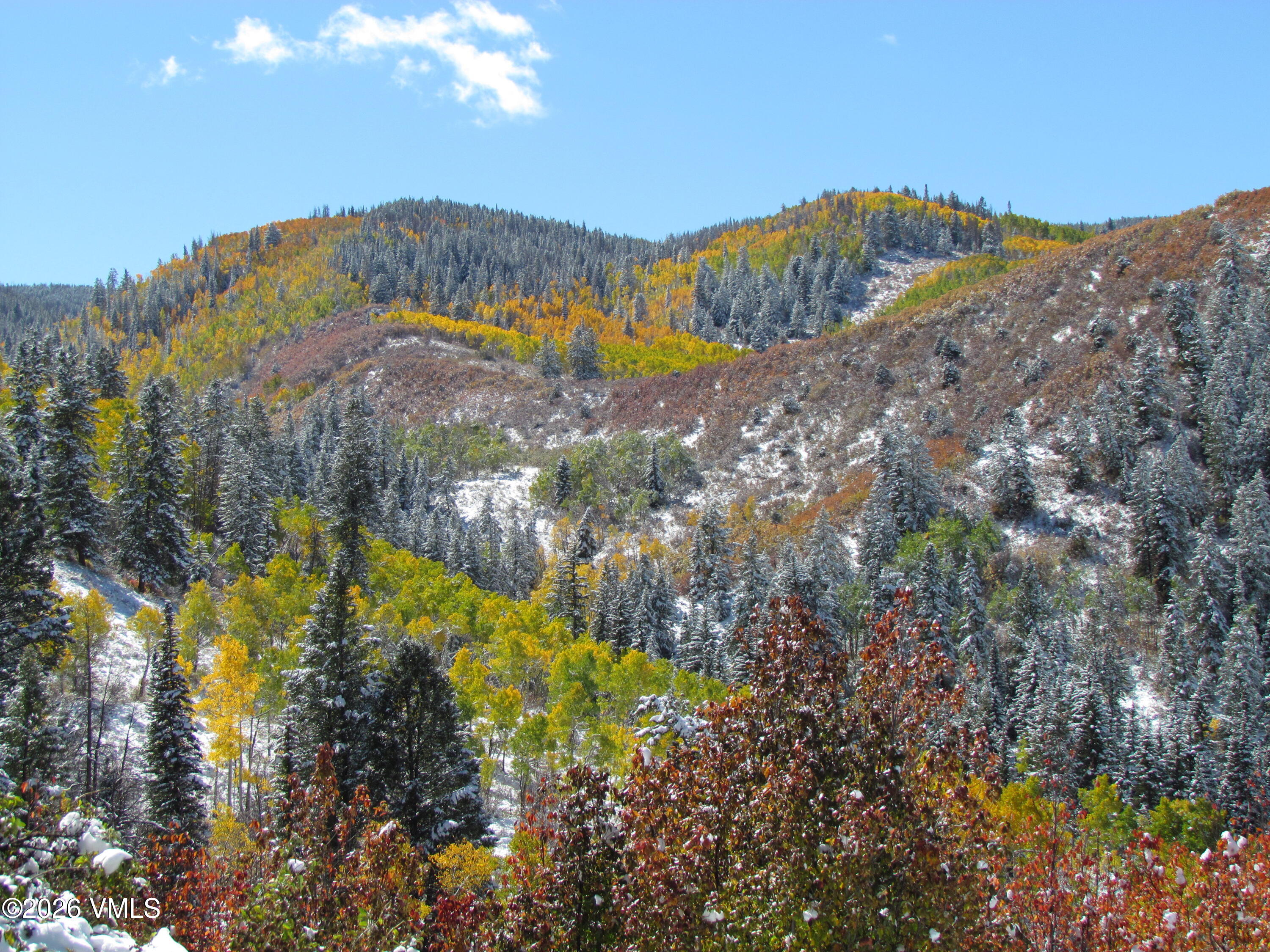 6010 Salt Creek Road Eagle, CO 81631 - Photo 56 of 69 Deck View Fall Snow