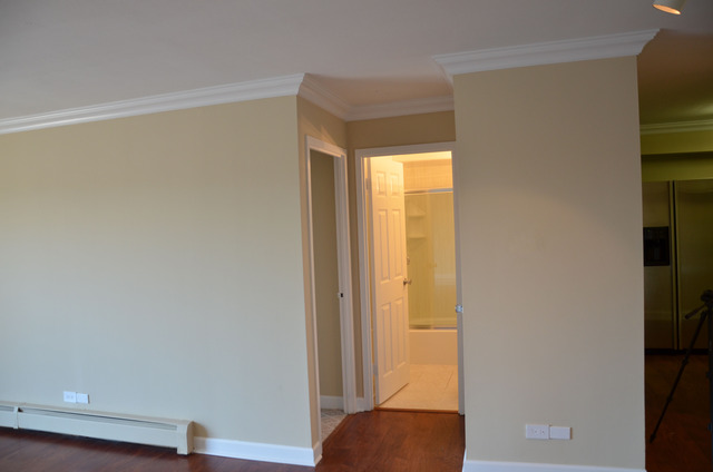 1567 Ridge Avenue, Unit 503 Evanston, IL 60201 - Photo 11 of 17 a view of front door