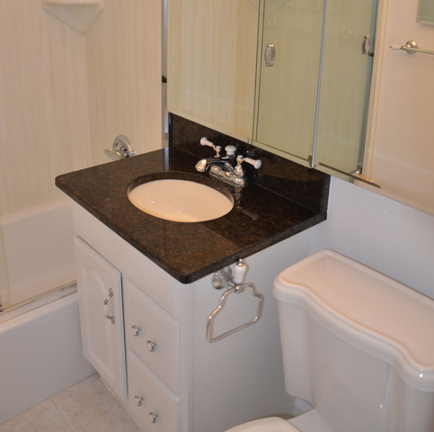 1567 Ridge Avenue, Unit 503 Evanston, IL 60201 - Photo 16 of 17 a bathroom with a sink and a toilet