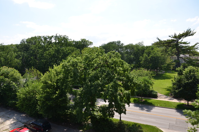 1567 Ridge Avenue, Unit 503 Evanston, IL 60201 - Photo 17 of 17 a view of a garden with a tree