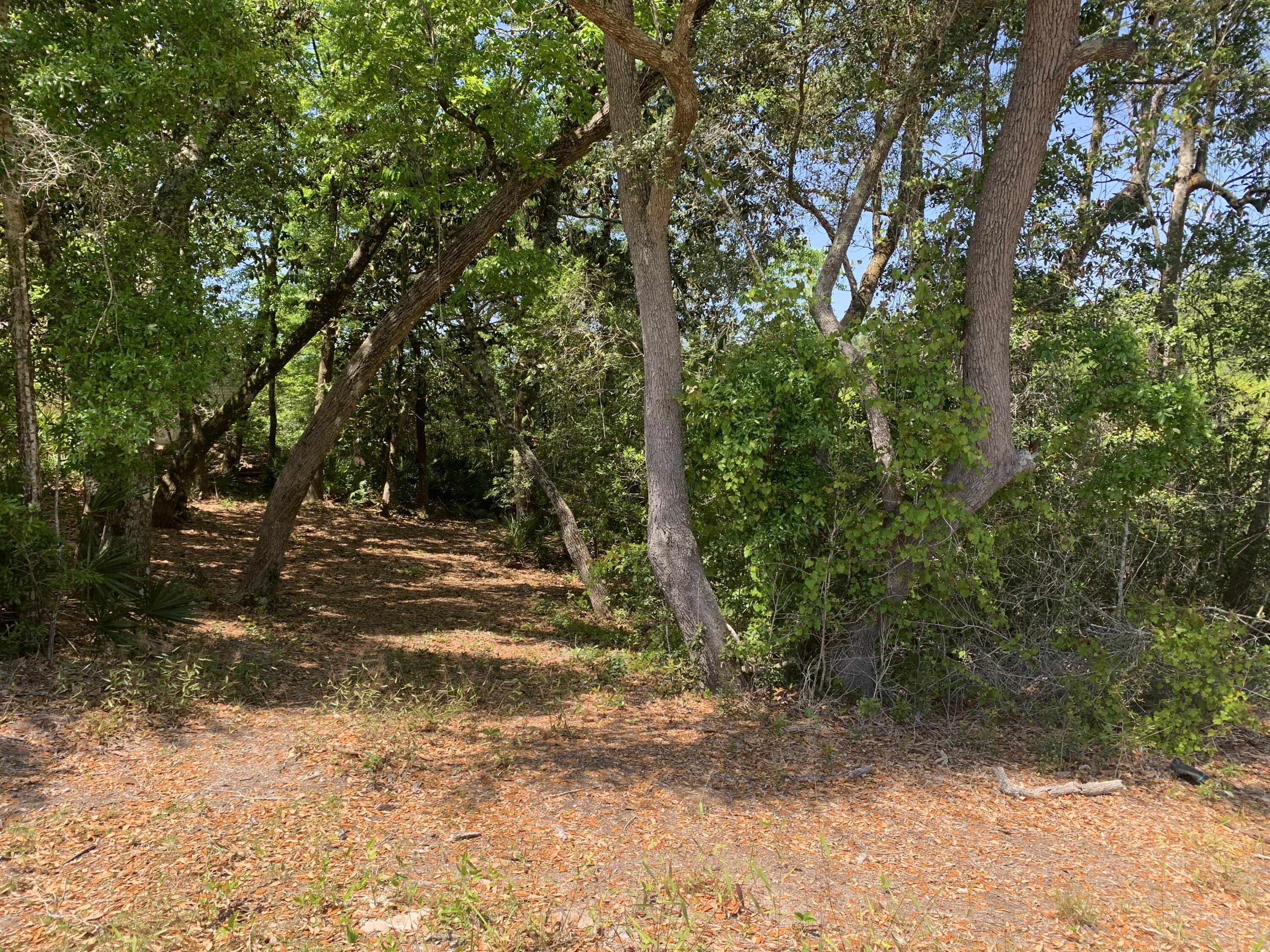 Tbd Rogers Drive Freeport, FL 32439 - Photo 2 of 5 a view of a yard with trees
