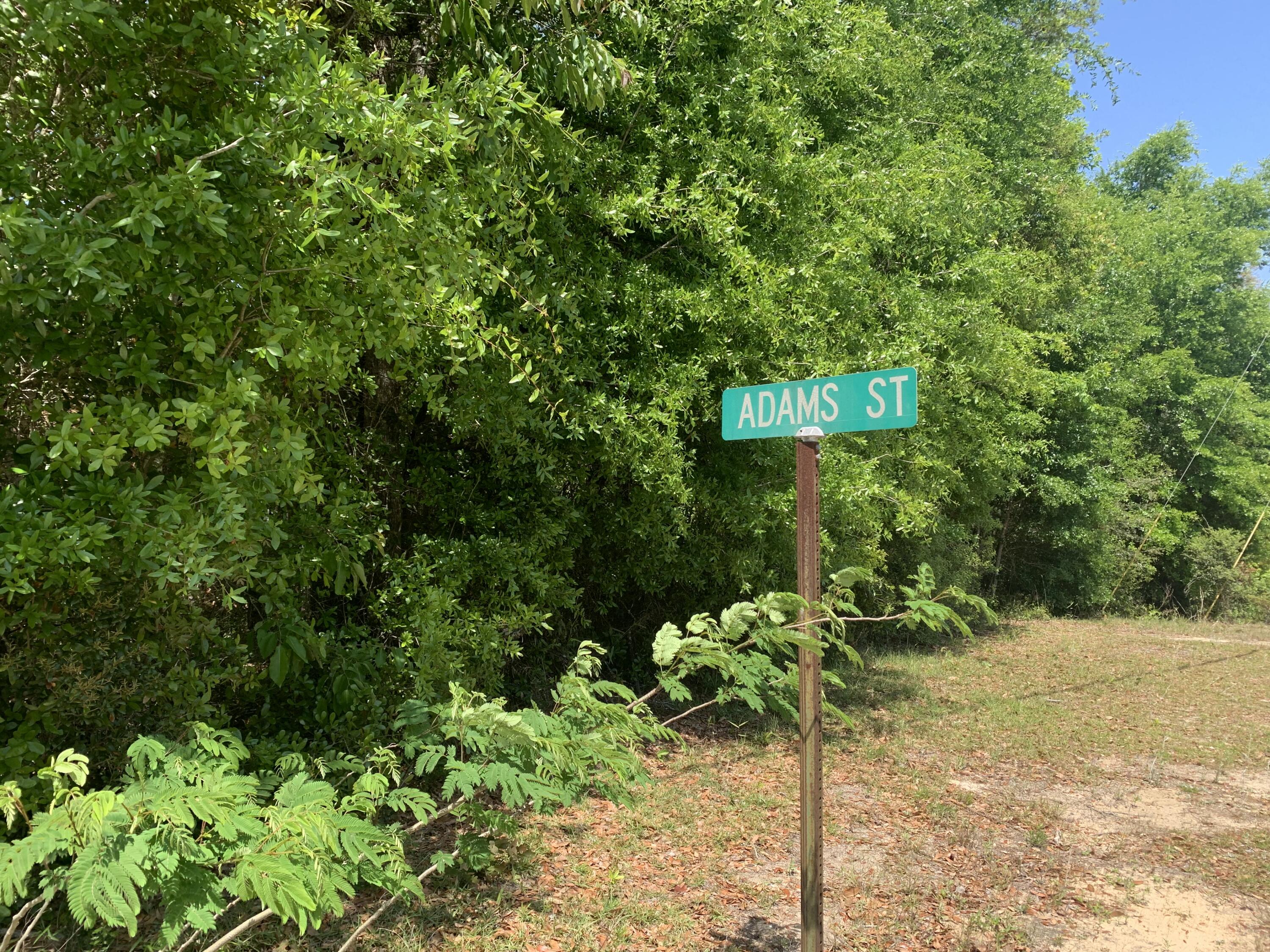 Tbd Rogers Drive Freeport, FL 32439 - Photo 3 of 5 a street sign that is sitting in the middle of a yard