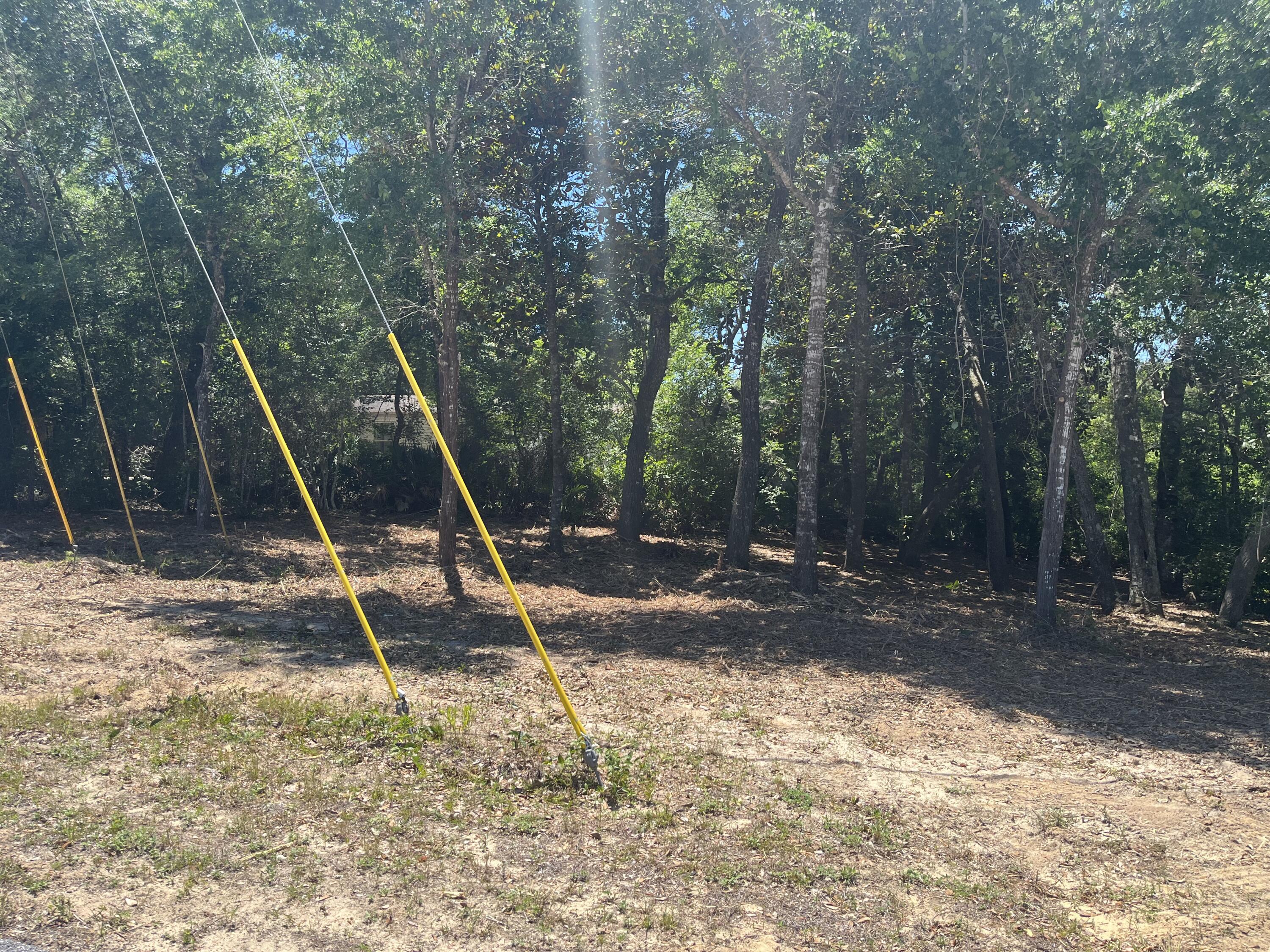 Tbd Rogers Drive Freeport, FL 32439 - Photo 5 of 5 a view of a park with a slide