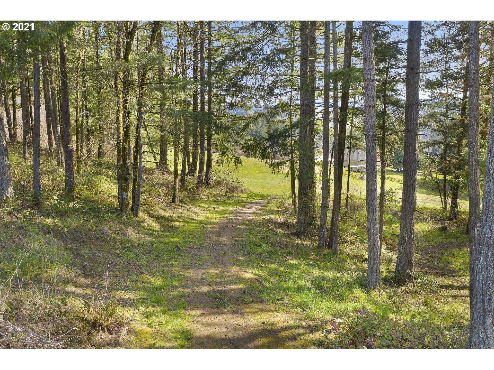 14345 Northwest Germantown Road Portland, OR 97231 - Photo 3 of 10 a view of swimming pool from a yard
