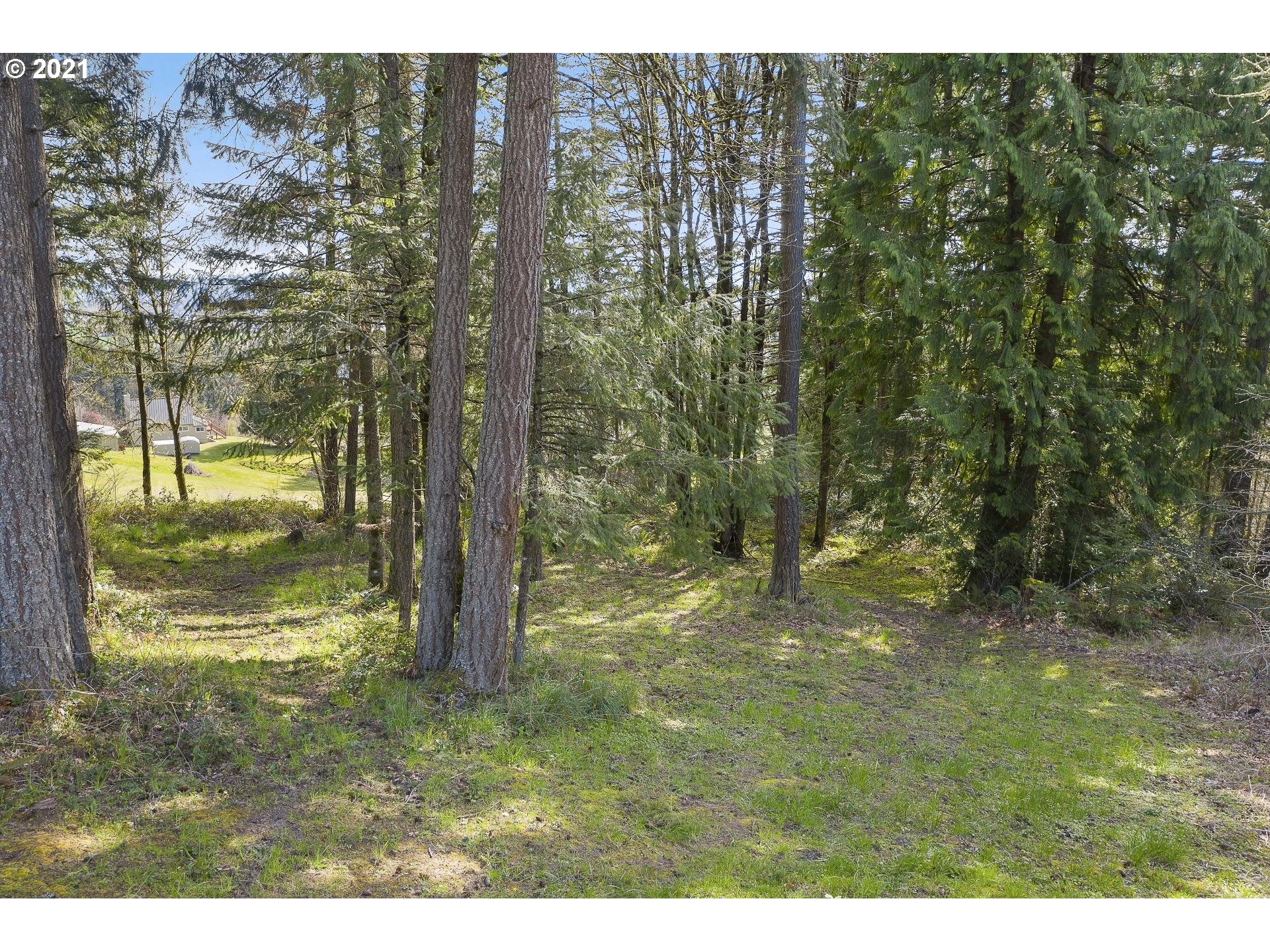14345 Northwest Germantown Road Portland, OR 97231 - Photo 4 of 10 a view of outdoor space with trees