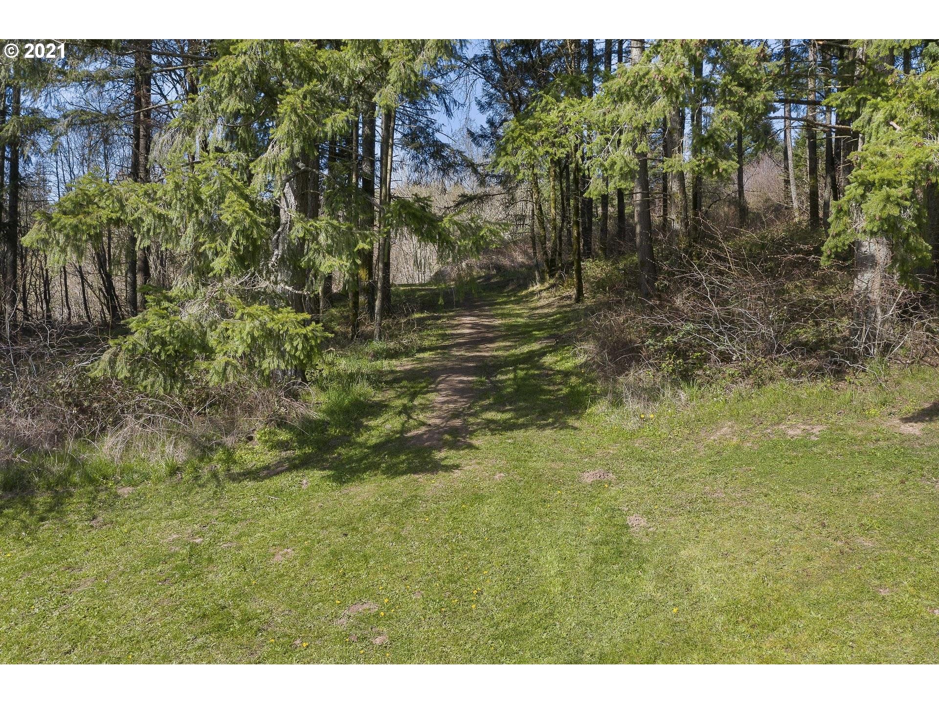 14345 Northwest Germantown Road Portland, OR 97231 - Photo 5 of 10 a backyard of a house with lots of green space