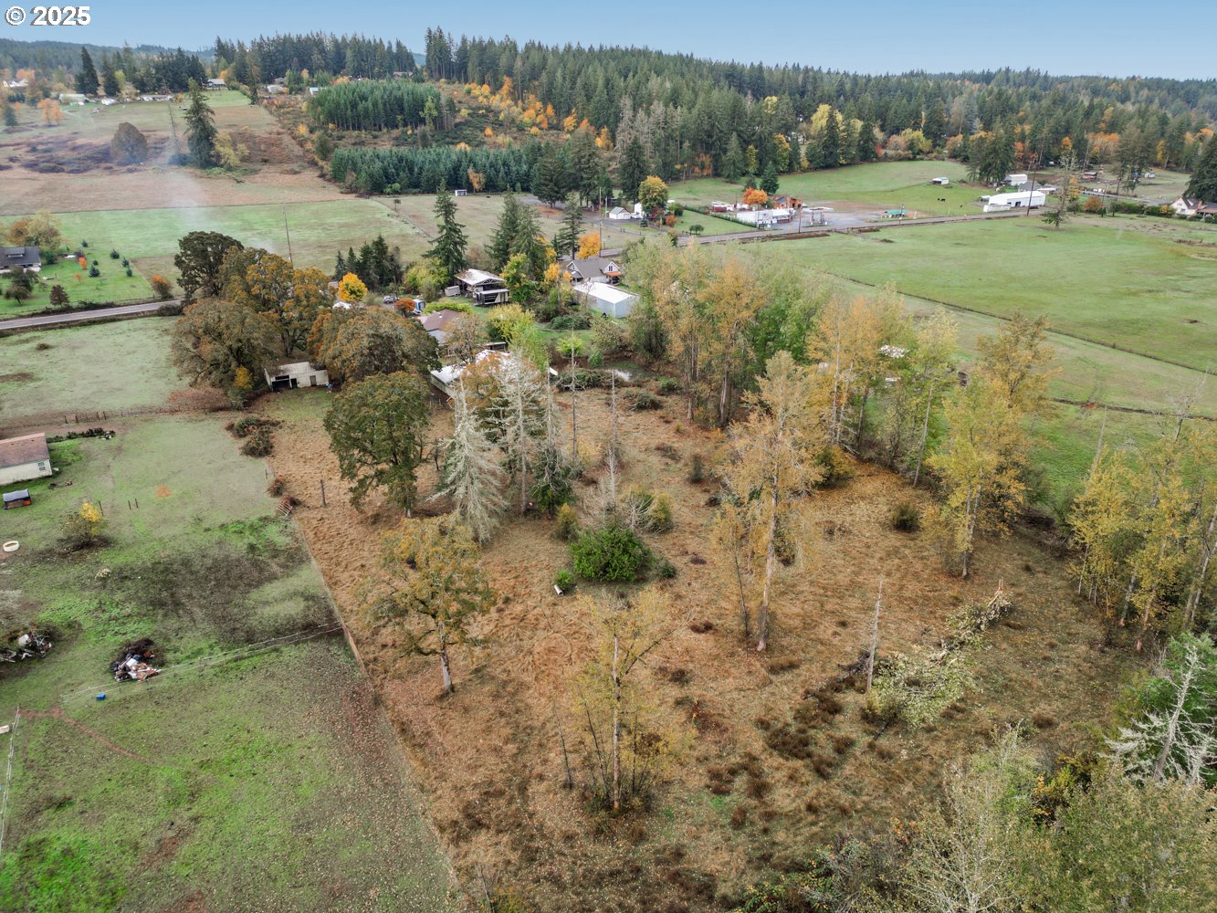 19807 Highway 211 Colton, OR 97017 - Photo 16 of 22 a view of a yard with a tree