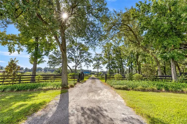 a view of a park with large trees