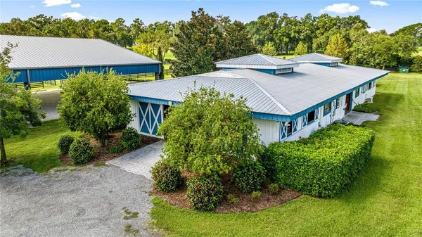 a view of a house with a yard plants and large tree