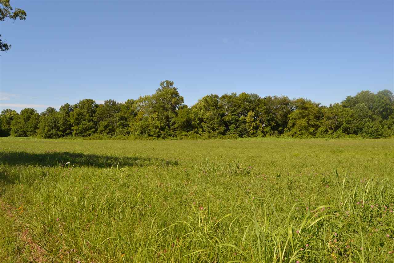 0 Patterson Road Smiths Grove, KY 42171 - Photo 5 of 9 Gallery Image 5