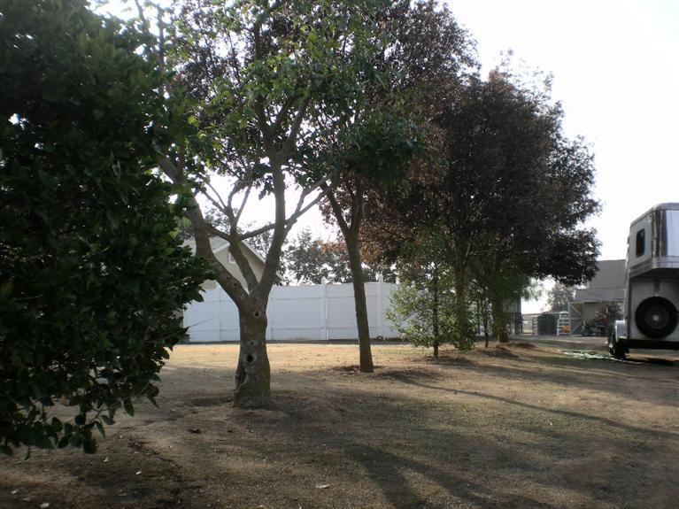 19854 Del Mar Road Madera, CA 93638 - Photo 81 of 99 Gallery Image 81