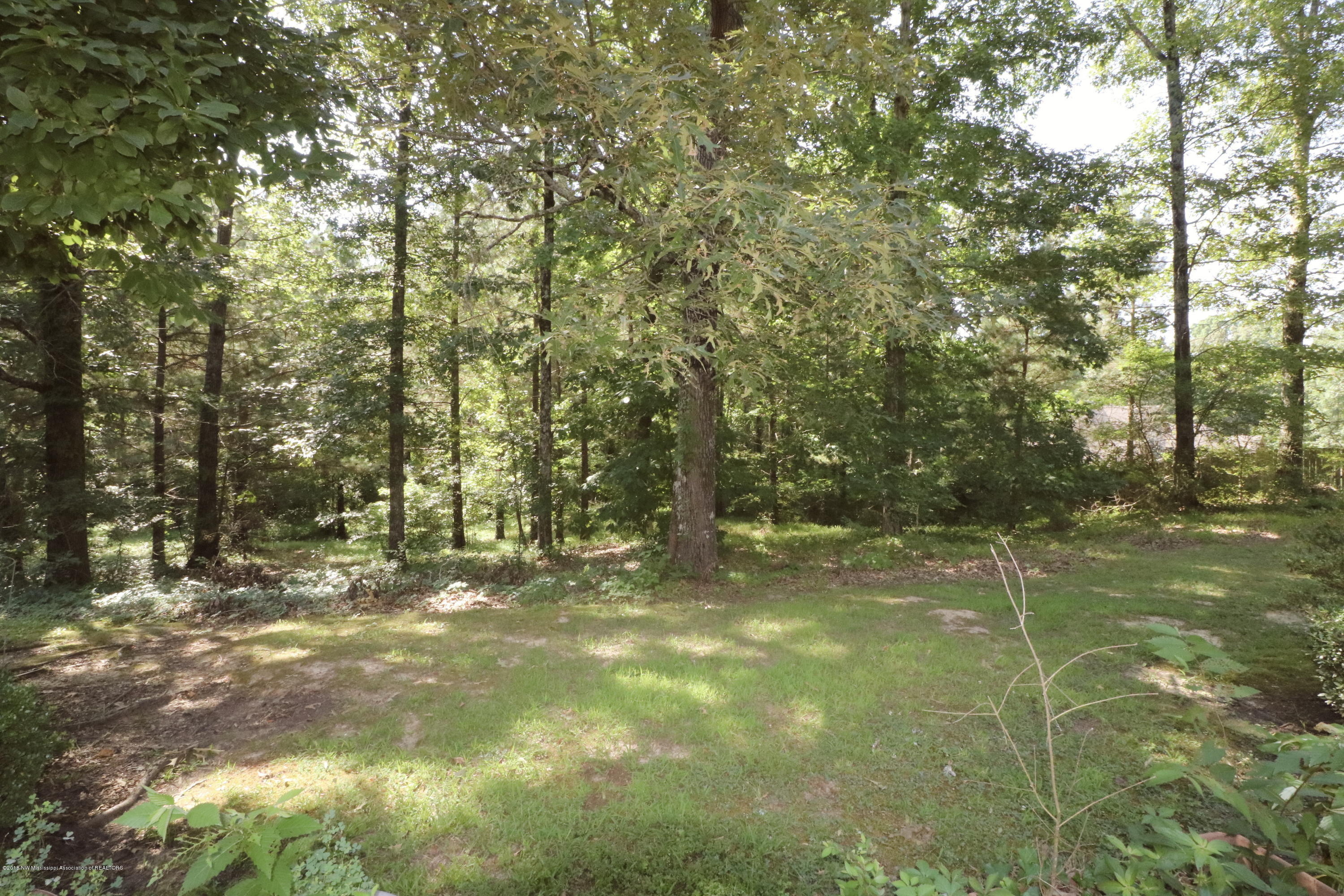 1683 Cedar Ridge Drive Hernando, MS 38632 - Photo 33 of 34 IMG_3057