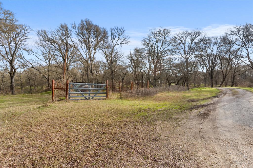 1447 Red Gate Road Mart, TX 76664 - Photo 12 of 38 a view of outdoor space with trees