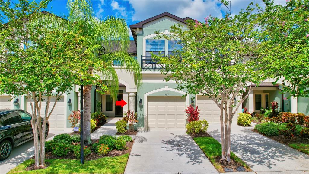 9113 Fox Sparrow Road Tampa, FL 33626 - Photo 1 of 1