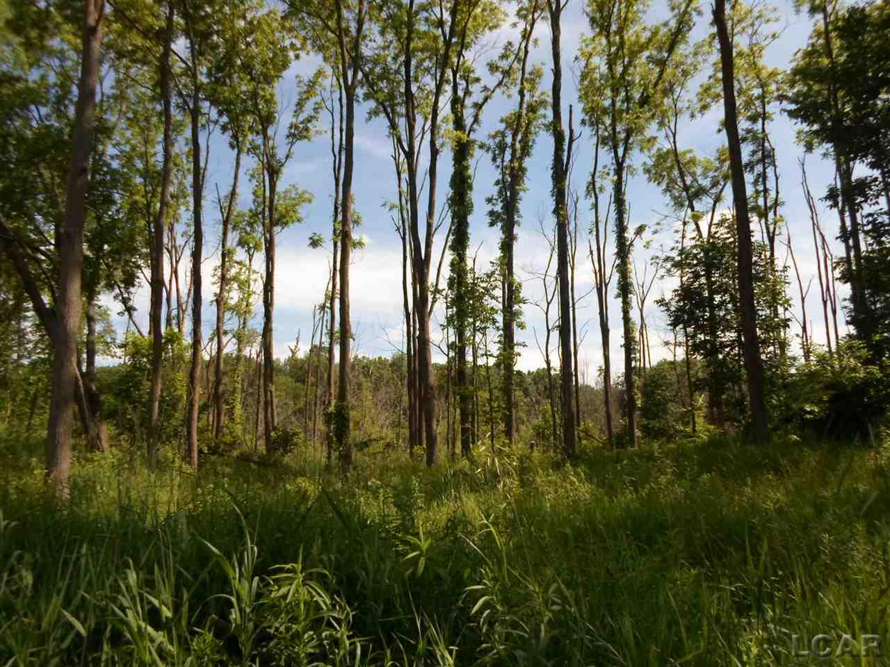 12000 Stephenson Road, Unit PARCEL B Brooklyn, MI 49230 - Photo 2 of 26