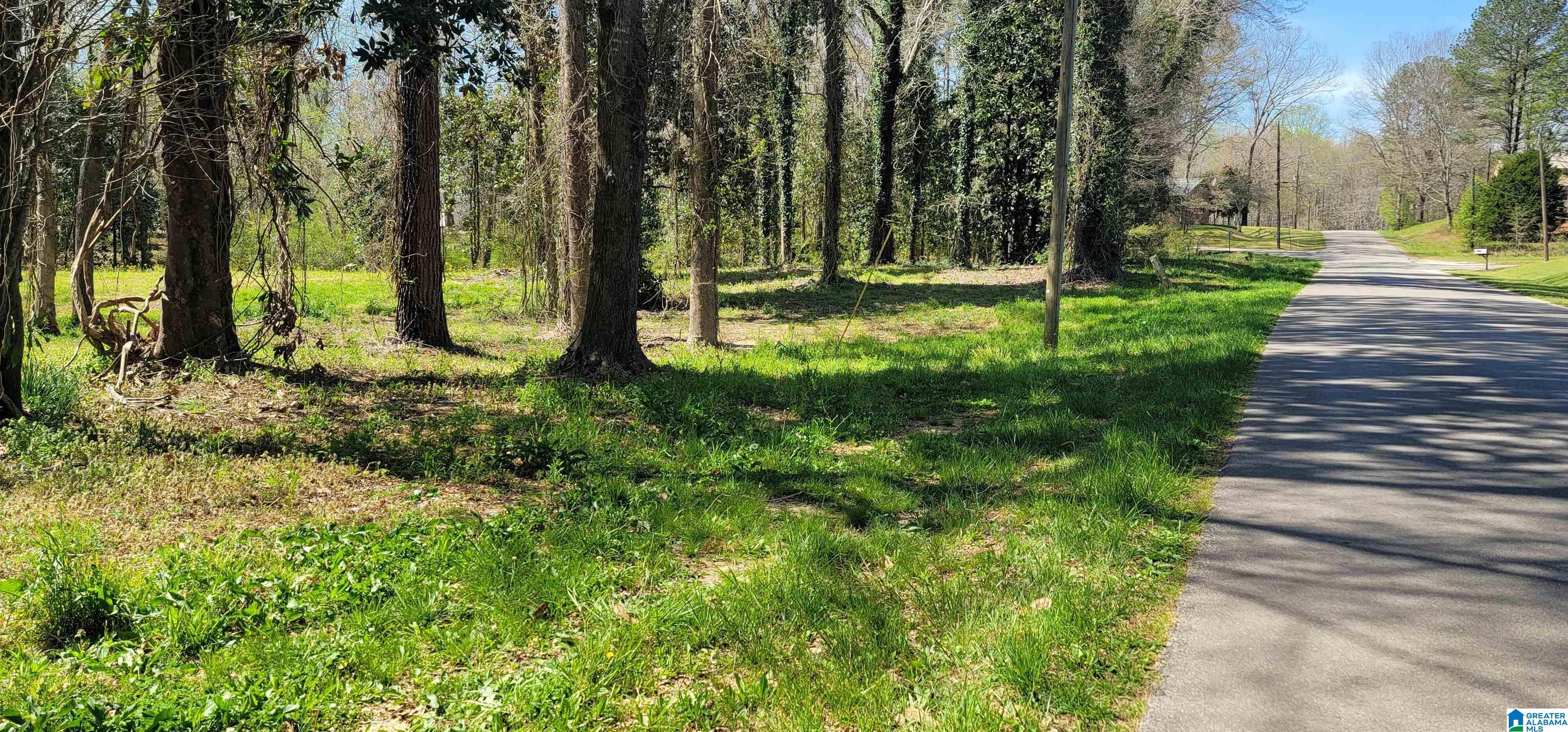 0 Osborne Street, Unit 3 ACRES Heflin, AL 36264 - Photo 4 of 11