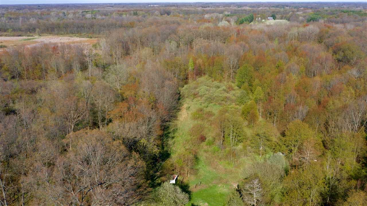 10601 State Road Rives Junction, MI 49277 - Photo 14 of 36 Photo 14