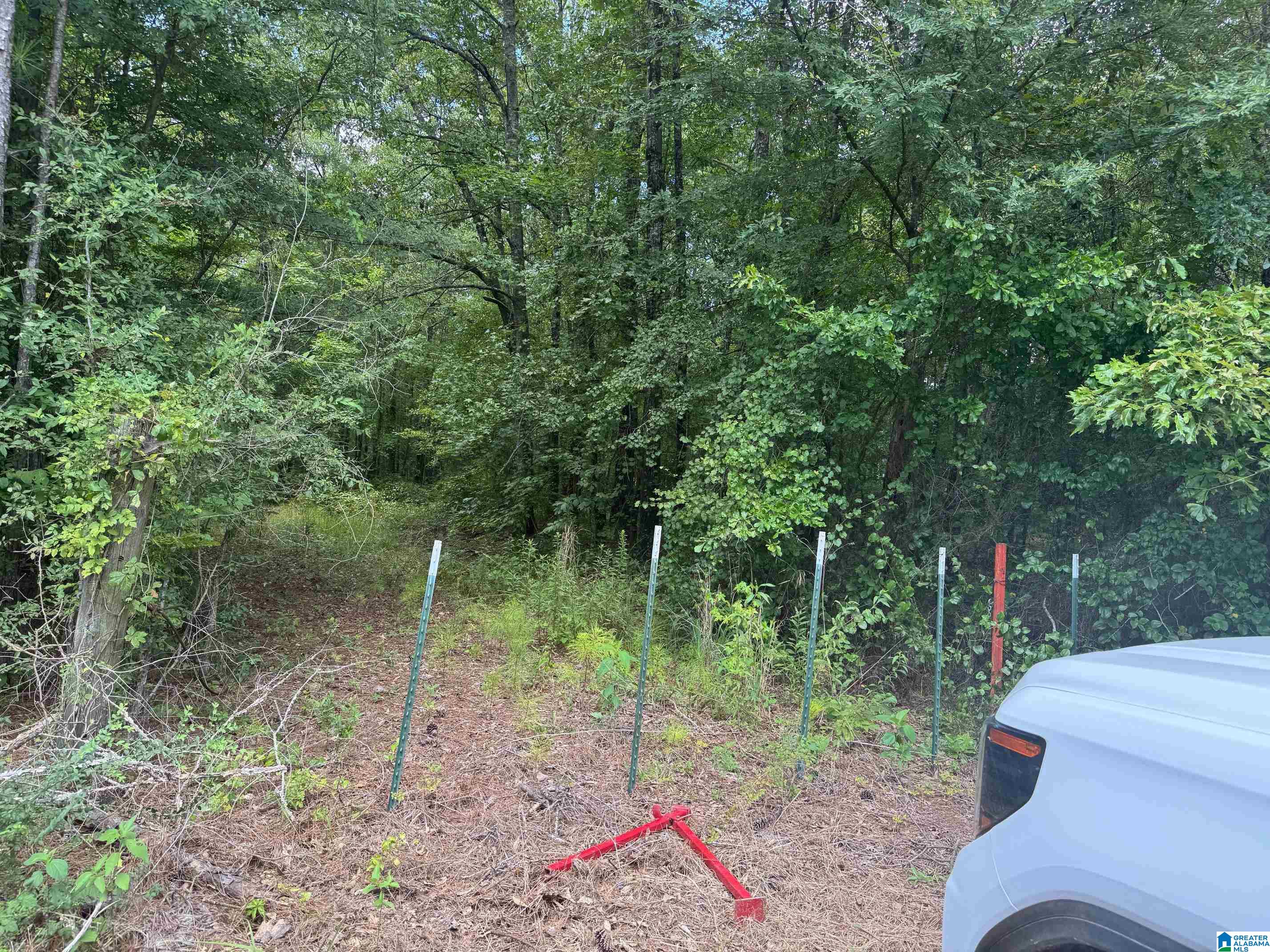 775 Concord Church Road, Unit 301 02 AC Talladega, AL 35160 - Photo 12 of 14