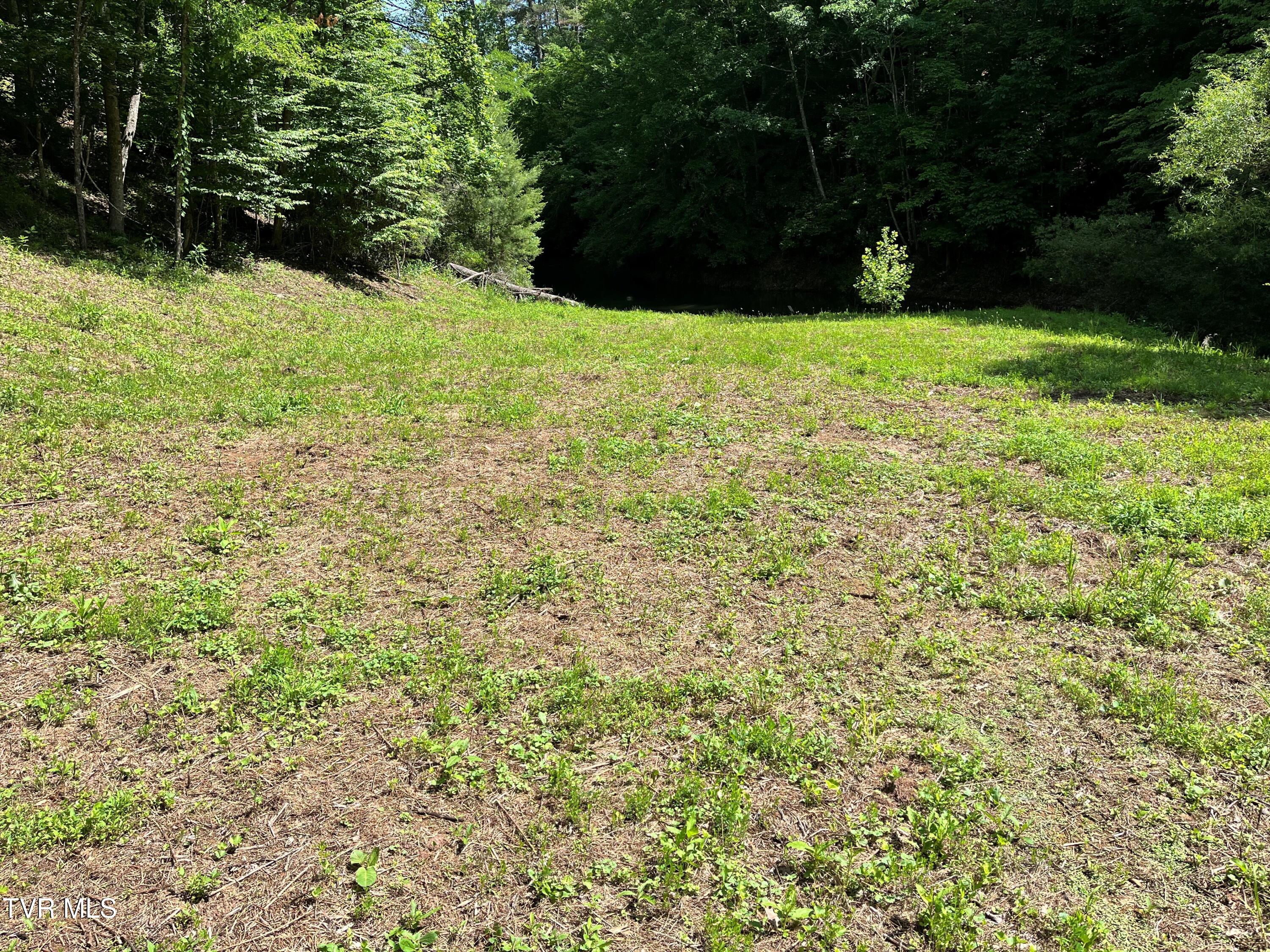 Tr1 Smith Hollow Road, Unit 1 3 3A 4 Butler, TN 37640 - Photo 5 of 37 jh4