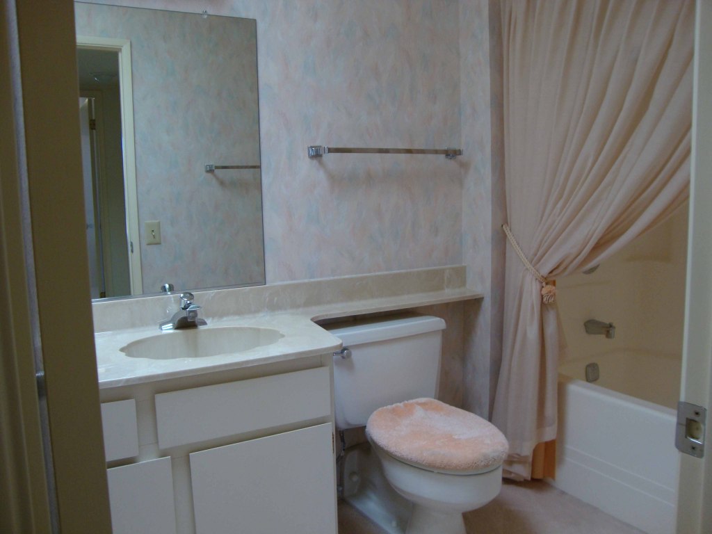 11065 West Oak Ridge Road Sun City, AZ 85351 - Photo 13 of 21 Spare Bathroom