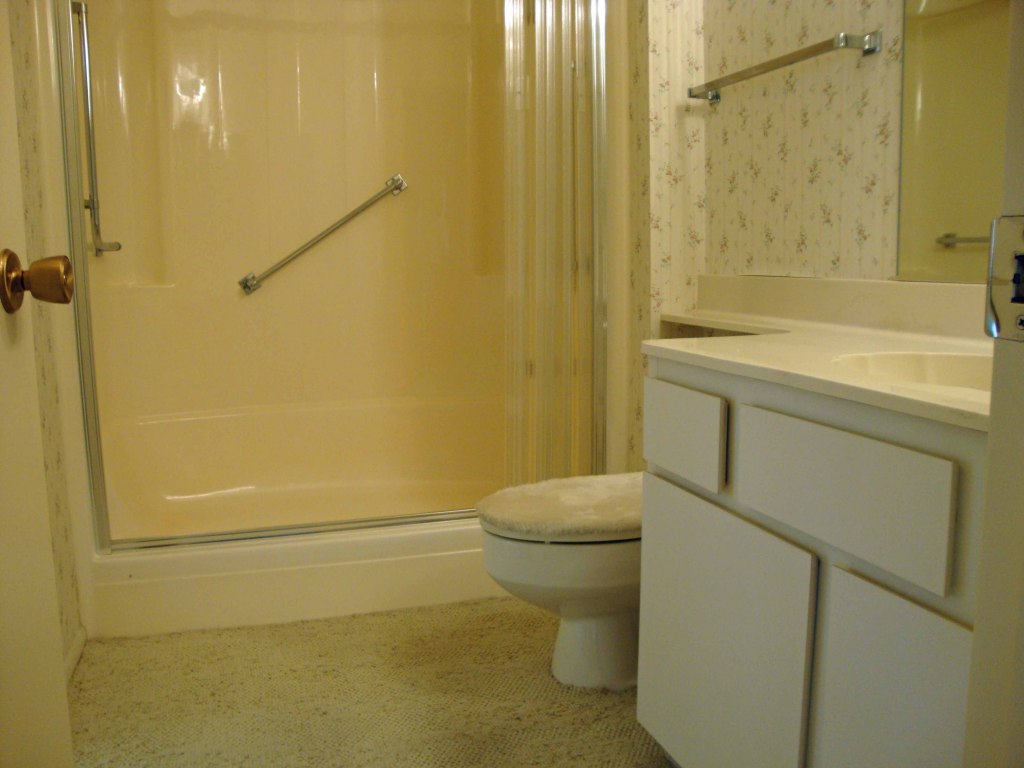 11065 West Oak Ridge Road Sun City, AZ 85351 - Photo 18 of 21 Master Bath