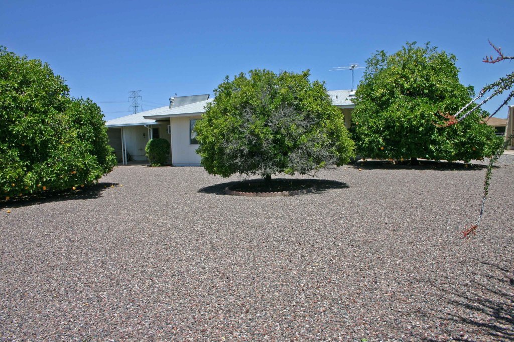 11065 West Oak Ridge Road Sun City, AZ 85351 - Photo 3 of 21 BACK YARD