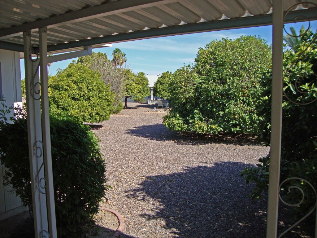11065 West Oak Ridge Road Sun City, AZ 85351 - Photo 5 of 21 Backyard from the patio