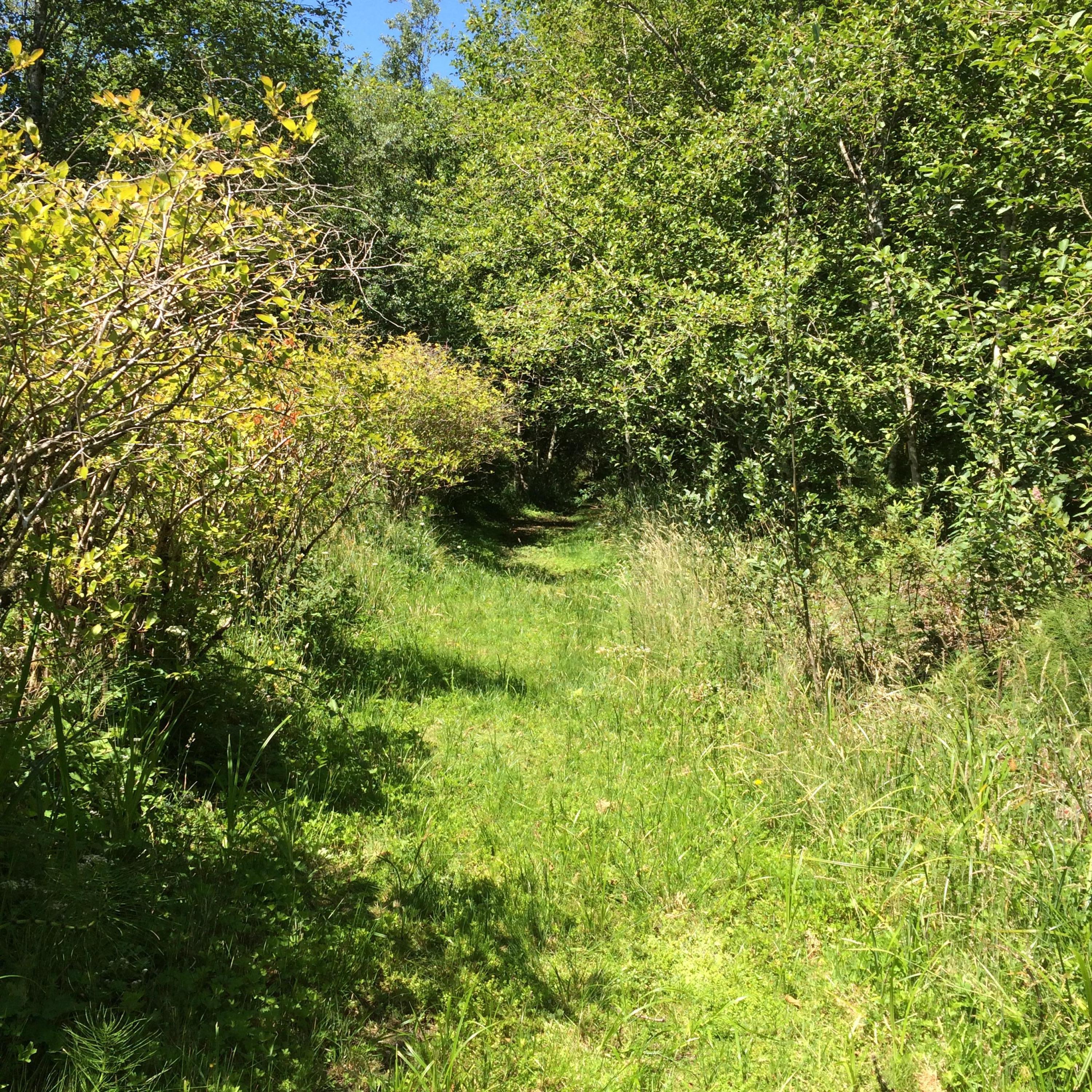 Tl2800 Galloway Road Cloverdale, OR 97112 - Photo 1 of 5 Acreage