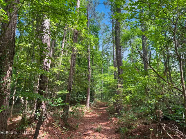 $187,500 | Shiloh Road, Pelahatchie, MS 39145