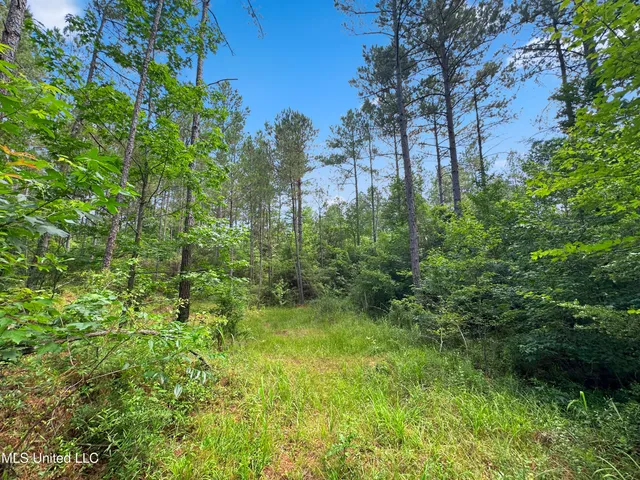 $187,500 | Shiloh Road, Pelahatchie, MS 39145