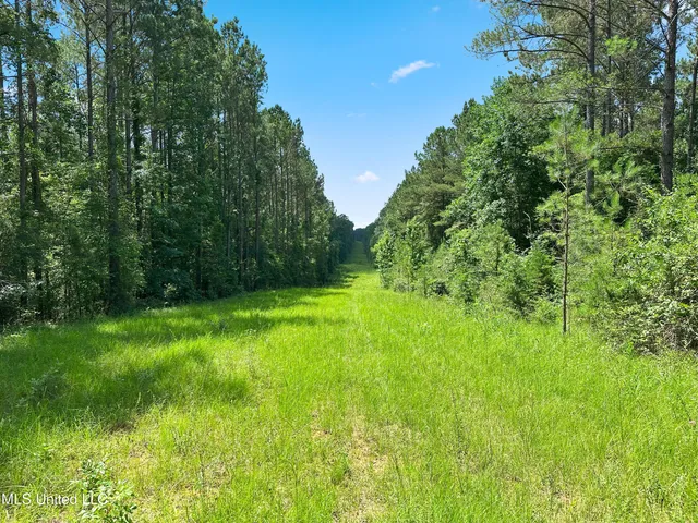 $187,500 | Shiloh Road, Pelahatchie, MS 39145