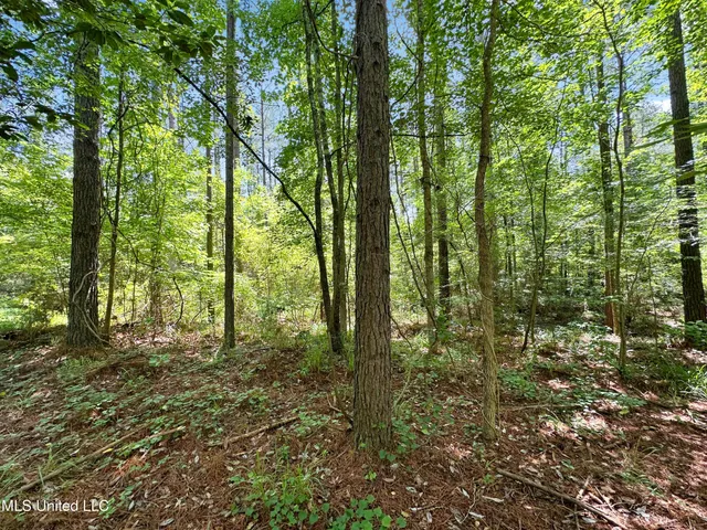 $187,500 | Shiloh Road, Pelahatchie, MS 39145