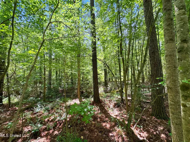 $187,500 | Shiloh Road, Pelahatchie, MS 39145