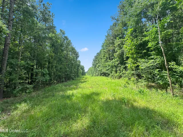 $187,500 | Shiloh Road, Pelahatchie, MS 39145