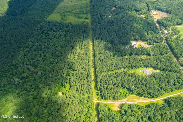 $187,500 | Shiloh Road, Pelahatchie, MS 39145