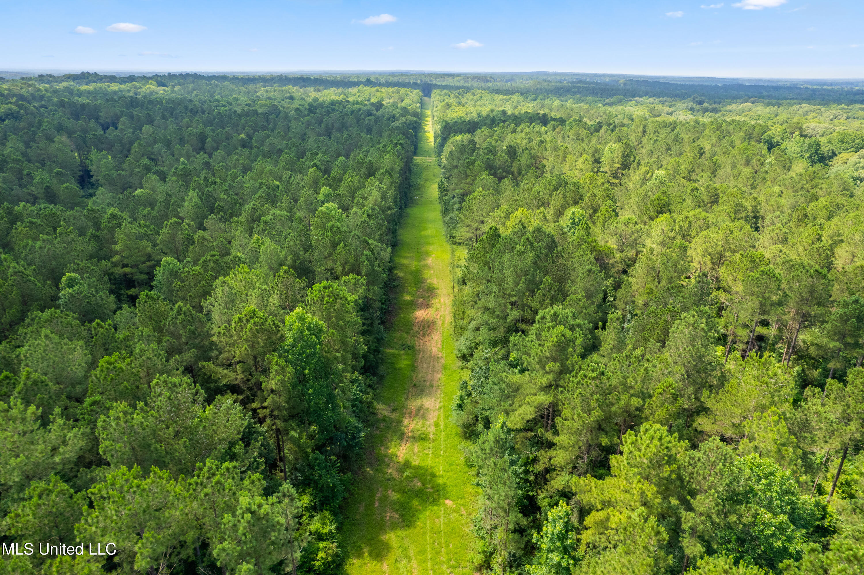 Shiloh Road Pelahatchie, MS 39145 - Photo 5 of 17 DJI_0098