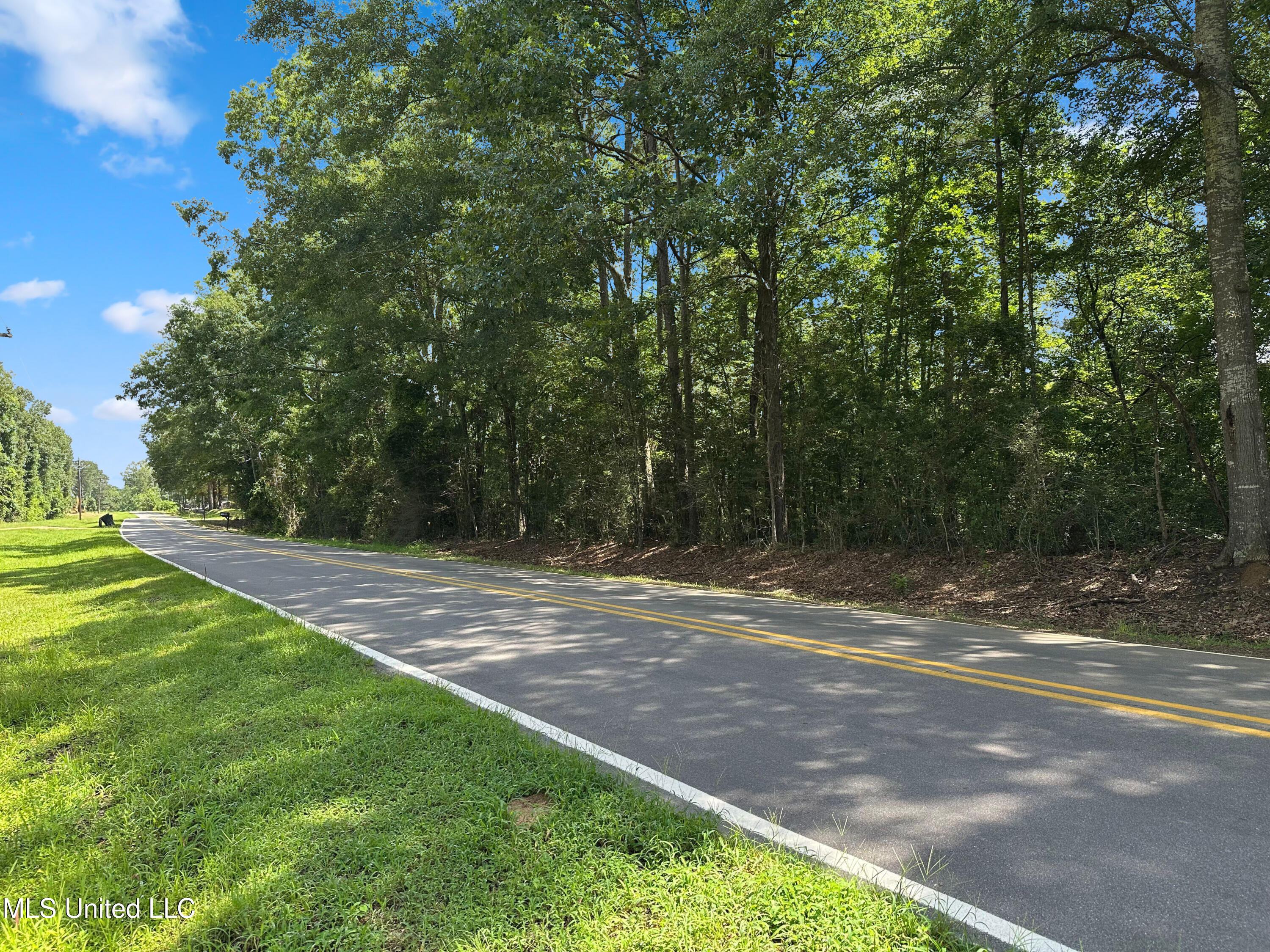 Shiloh Road Pelahatchie, MS 39145 - Photo 6 of 17 IMG_5834