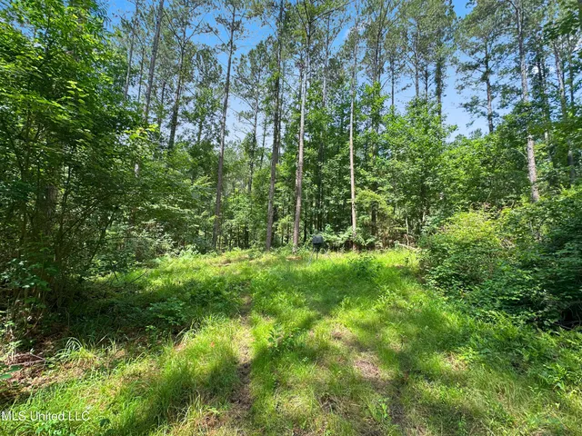 $187,500 | Shiloh Road, Pelahatchie, MS 39145