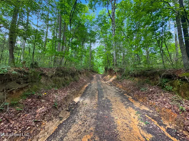 $187,500 | Shiloh Road, Pelahatchie, MS 39145