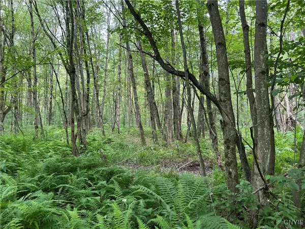 $29,900 | 42 Kimball Camp Road, Orwell, NY 13144