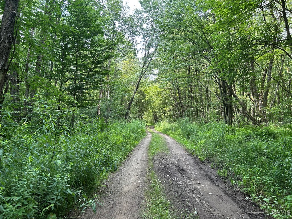 42 Kimball Camp Road Orwell, NY 13144 - Photo 11 of 13
