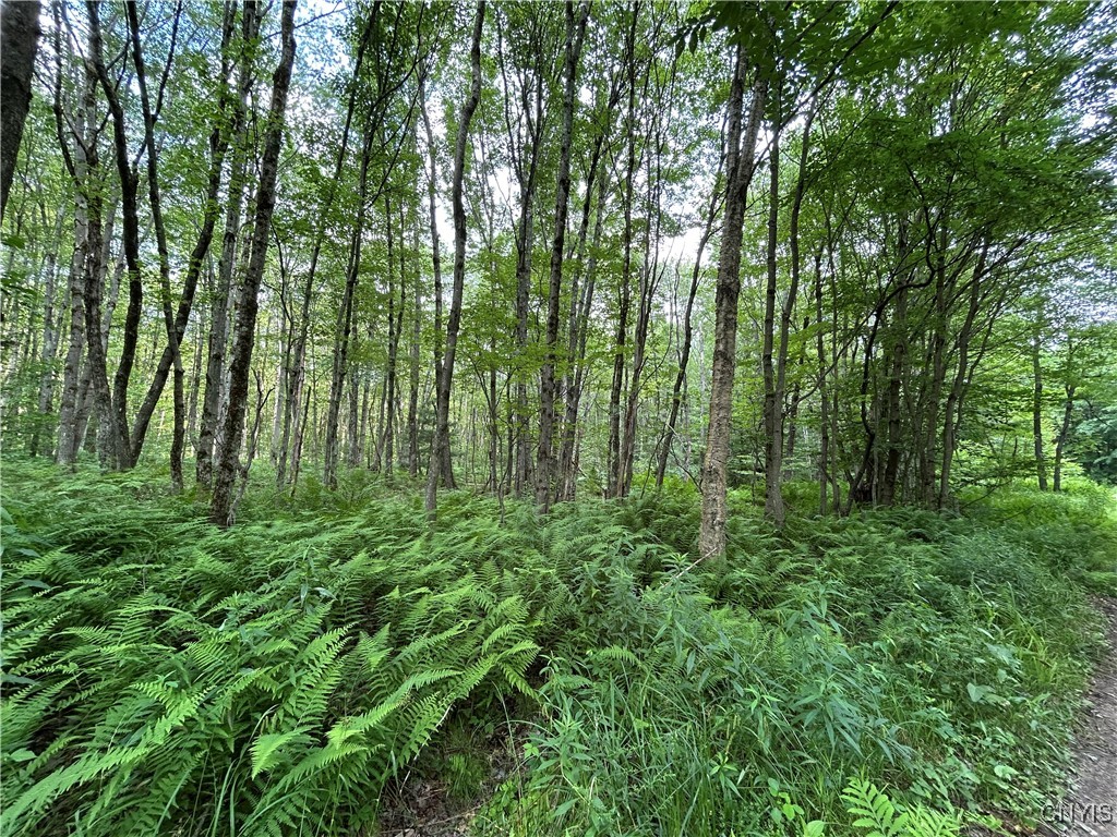 42 Kimball Camp Road Orwell, NY 13144 - Photo 12 of 13