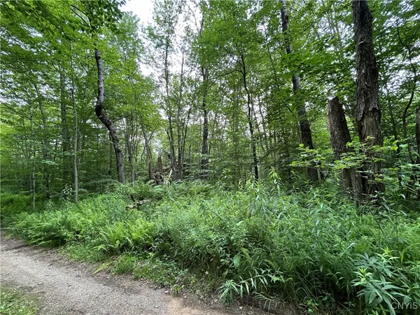 $29,900 | 42 Kimball Camp Road, Orwell, NY 13144