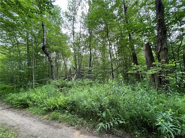 $29,900 | 42 Kimball Camp Road, Orwell, NY 13144