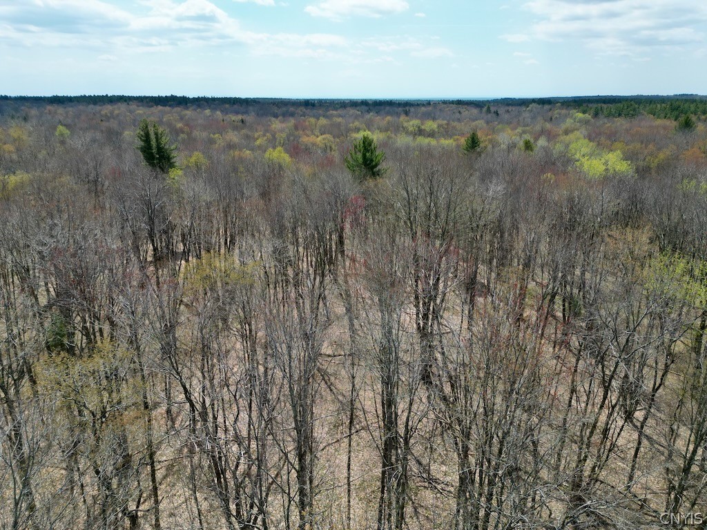 42 Kimball Camp Road Orwell, NY 13144 - Photo 3 of 13