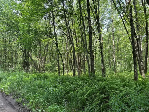 $29,900 | 42 Kimball Camp Road, Orwell, NY 13144