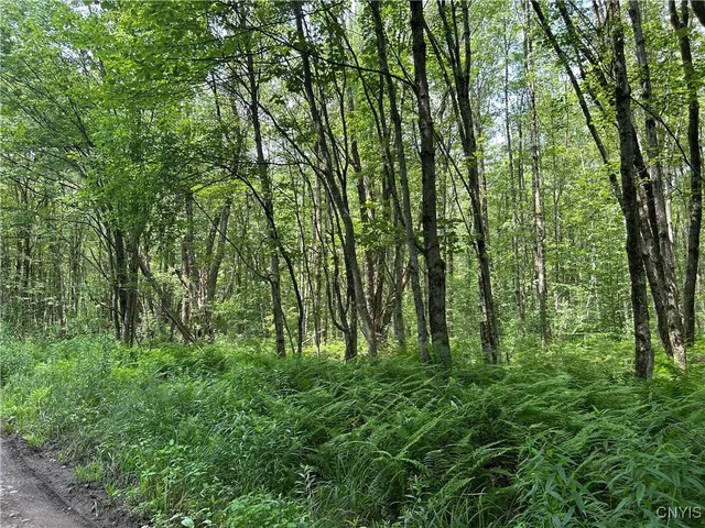 $29,900 | 42 Kimball Camp Road, Orwell, NY 13144